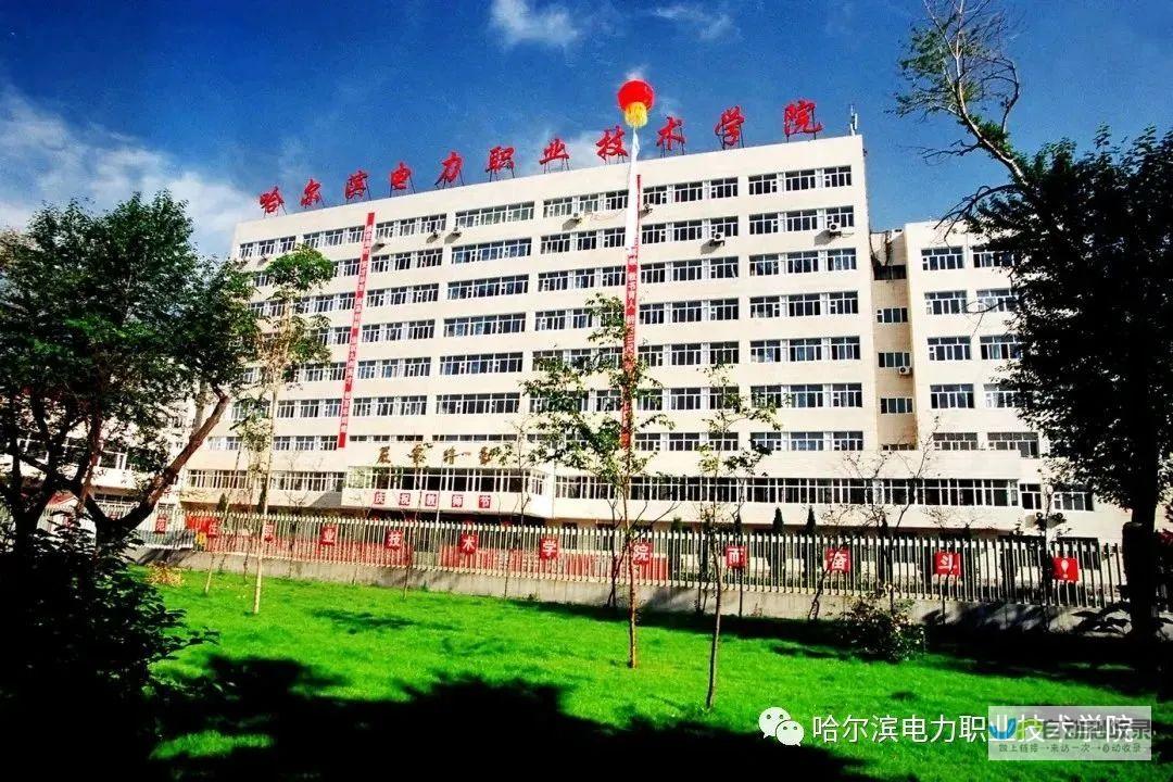 哈尔滨官方网站：便捷信息获取，深度了解这座美丽的城市