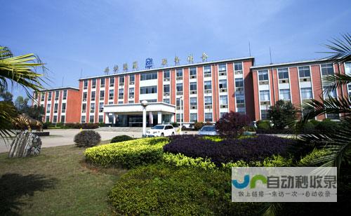 衡阳网络公司：专业的互联网解决方案提供商，助力企业数字化转型