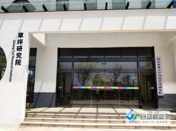 句容专业网站建设，助力企业发展，提升品牌影响力